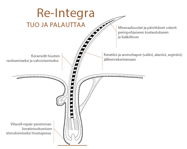 REINTEGRA